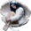 Аватар Люблю халяву