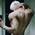 Аватар Ваше величество Romantiс