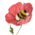 Аватар ArleQueen