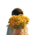 Аватар amor primo