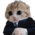 Аватар Деловой котик 1к1