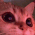 Аватар lucky neko