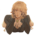 Аватар stacecuse