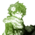 Аватар Izuku love