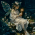Аватар Moonlight firefly