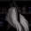 Аватар Laughing Undertaker
