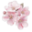 Аватар ksndmr