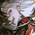 Аватар nadezdead