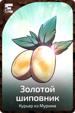 Золотой шиповник