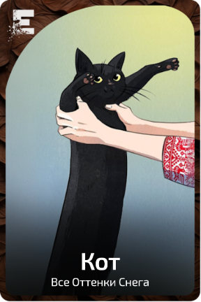 Кот