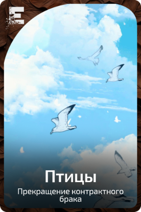 Птицы
