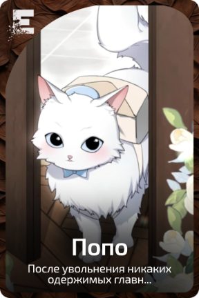 Попо
