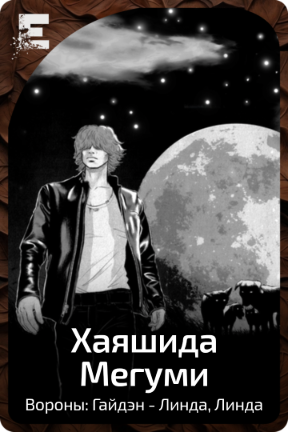 Хаяшида Мегуми