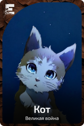 Кот