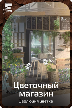 Цветочный магазин