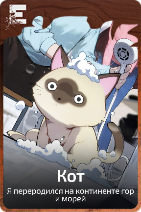 Кот