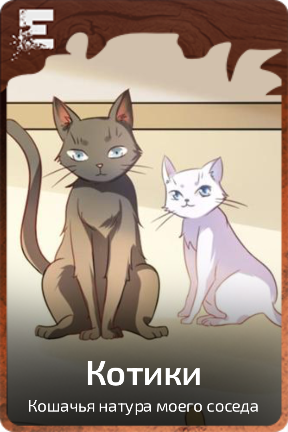 Котики