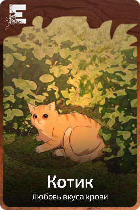 Котик