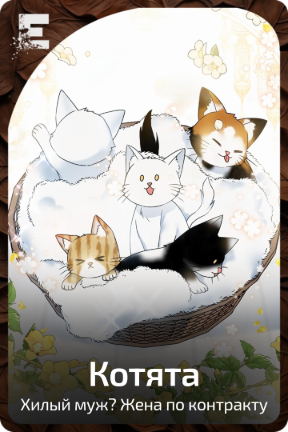 Котята