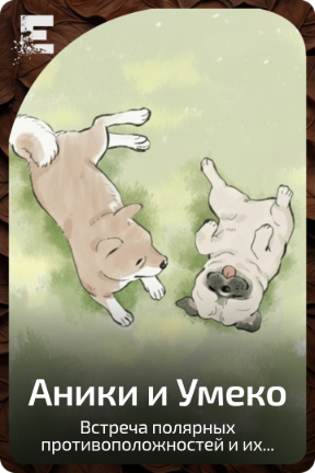 Аники и Умеко
