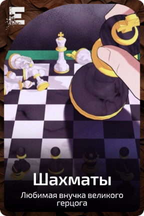 Шахматы