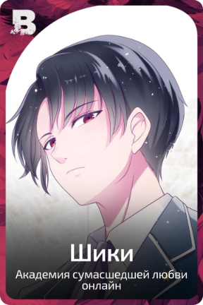 Шики