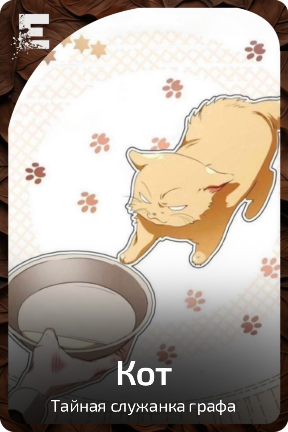 Кот