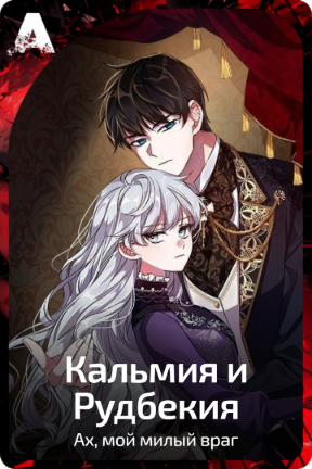 Кальмия и Рудбекия