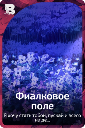 Фиалковое поле