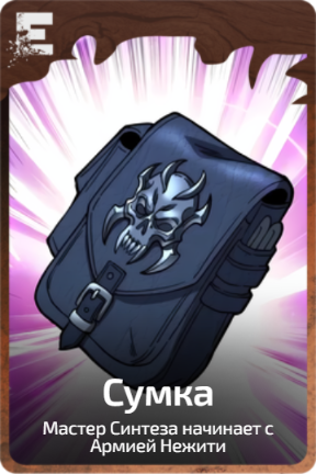 Сумка