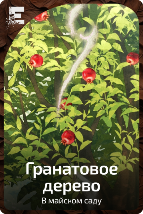 Гранатовое дерево