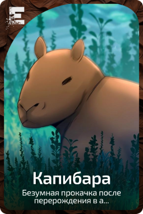 Капибара