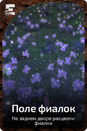 Поле фиалок
