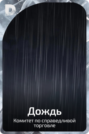 Дождь