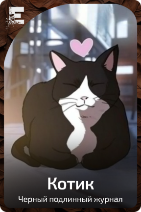 Котик