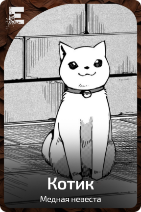 Котик