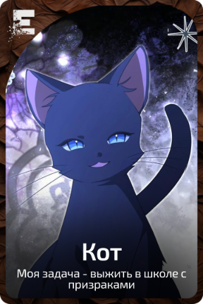 Кот