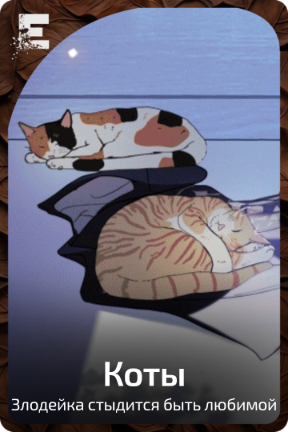 Коты