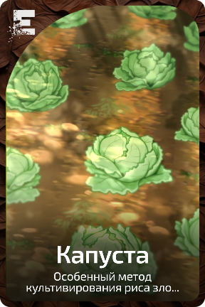 Капуста