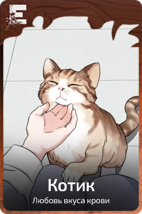 Котик