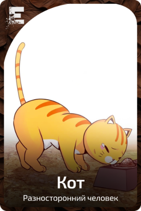Кот
