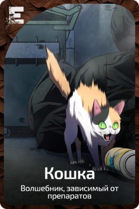 Кошка