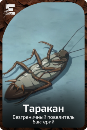 Таракан