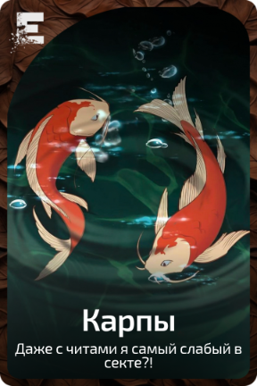Карпы