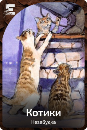 Котики