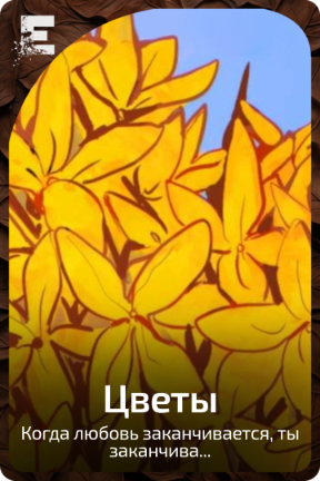 Цветы