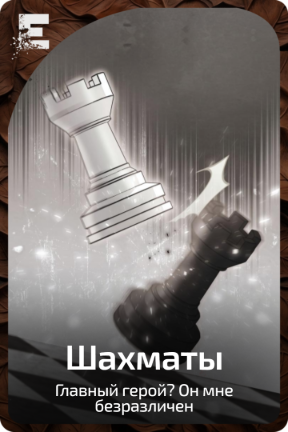 Шахматы