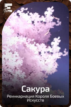 Сакура