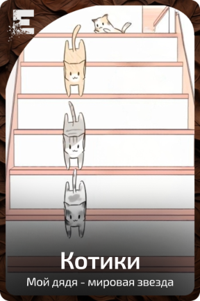 Котики