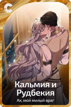 Кальмия и Рудбекия